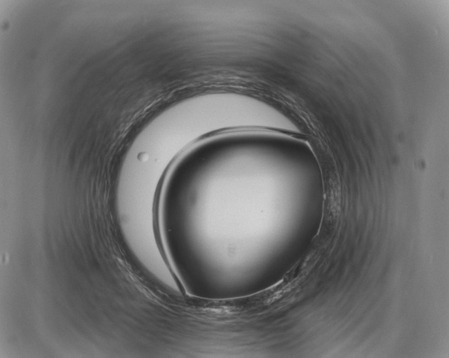 X0000085000411200703191055