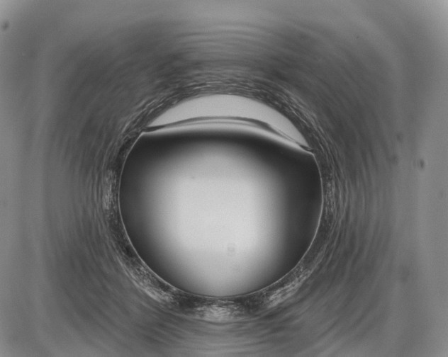 X0000085000412200703191055