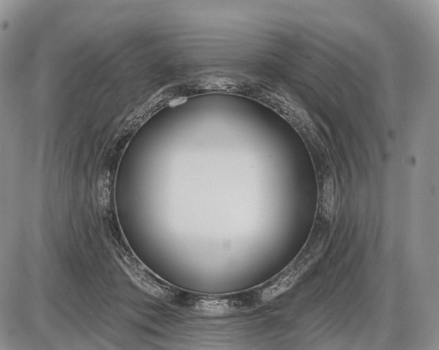 X0000085000413200703191055