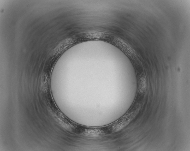 X0000085000414200703191055