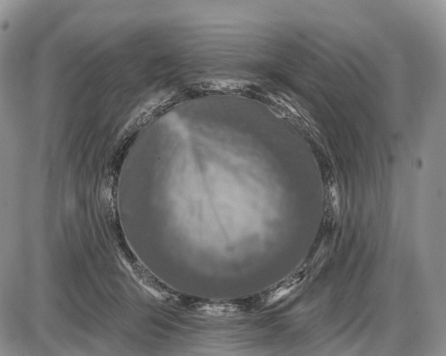 X0000085000415200703191055