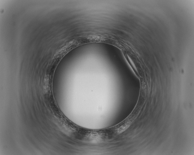 X0000085000416200703191055