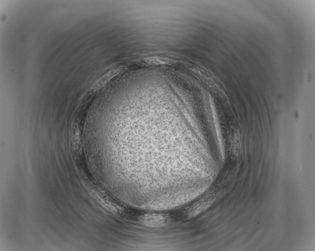 X0000085000418200703191055