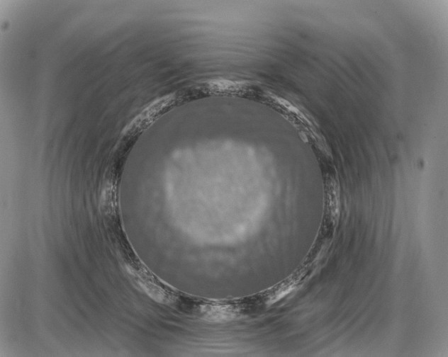 X0000085000419200703191055