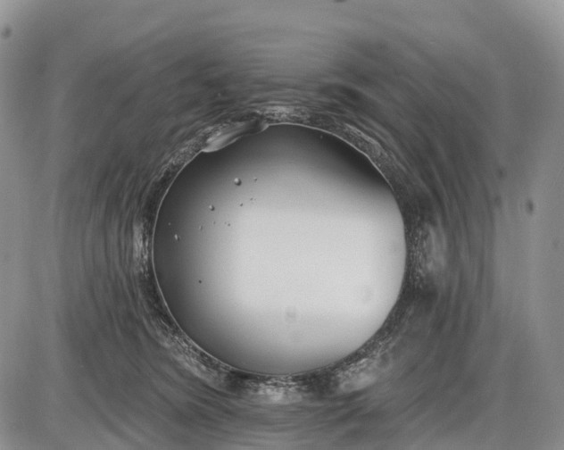 X0000085000420200703191055