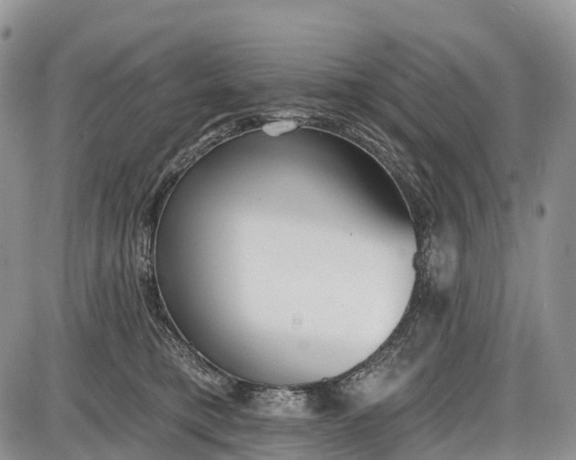 X0000085000421200703191055