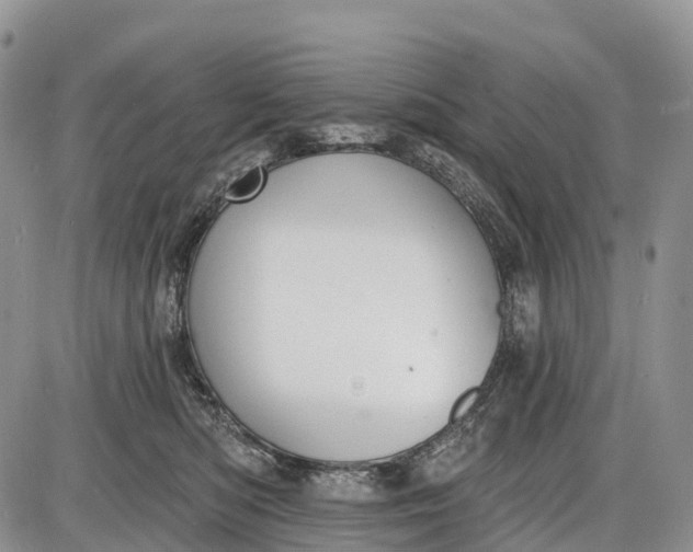 X0000085000422200703191055