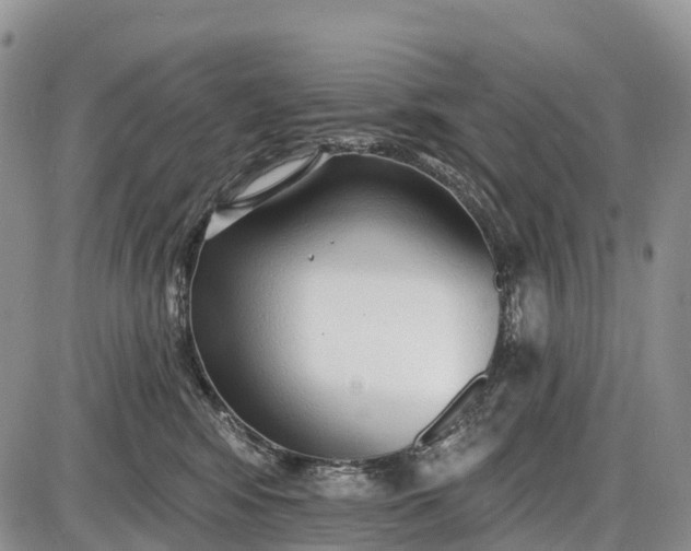 X0000085000424200703191055