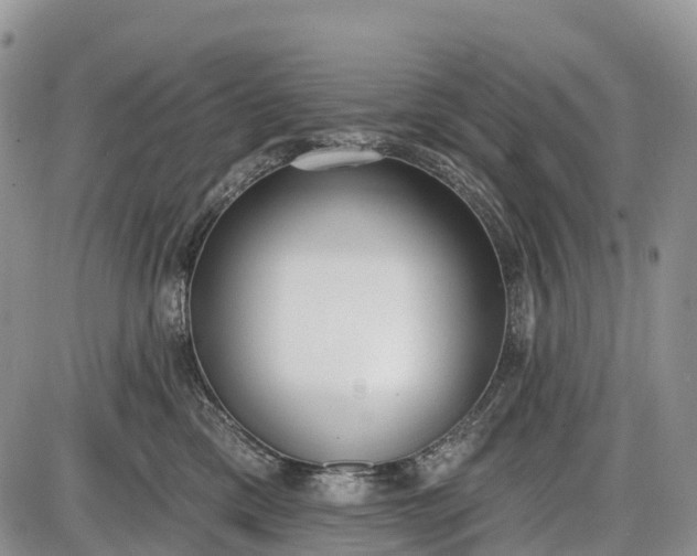 X0000085000425200703191055