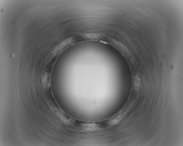 X0000085000428200703191055