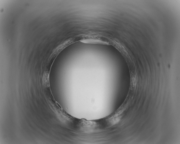 X0000085000429200703191054