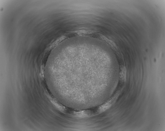 X0000085000430200703191054