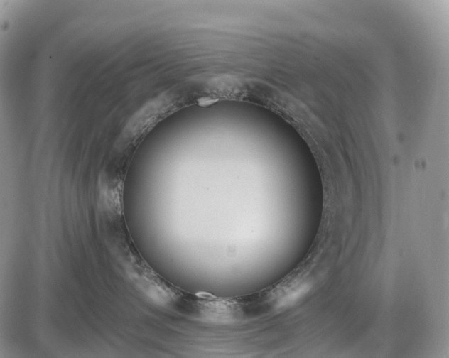 X0000085000432200703191054