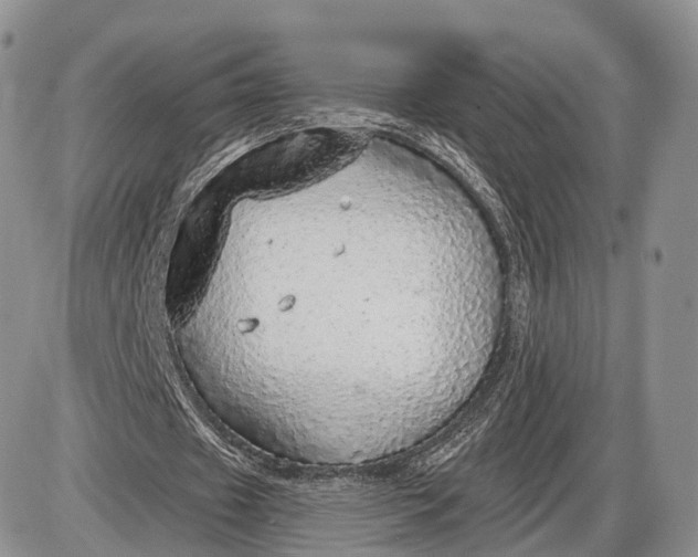 X0000085000433200703191054