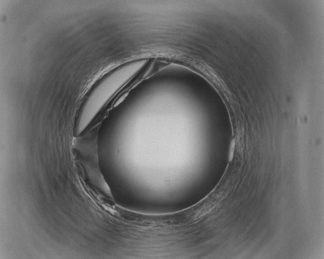 X0000085000434200703191054