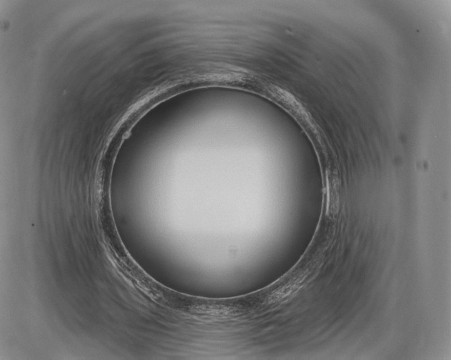 X0000085000435200703191054