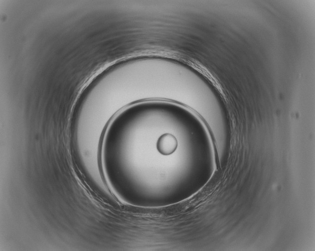 X0000085000436200703191054