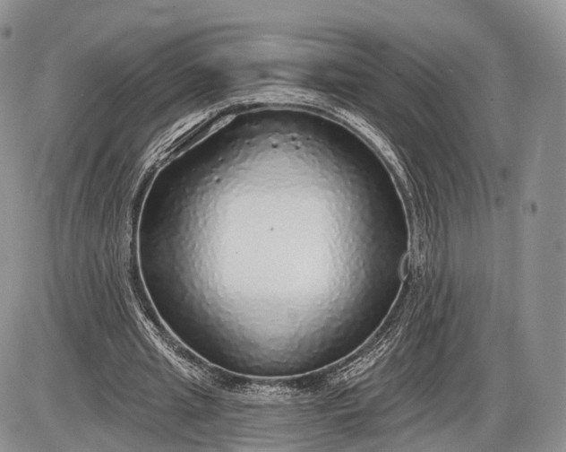 X0000085000437200703191054