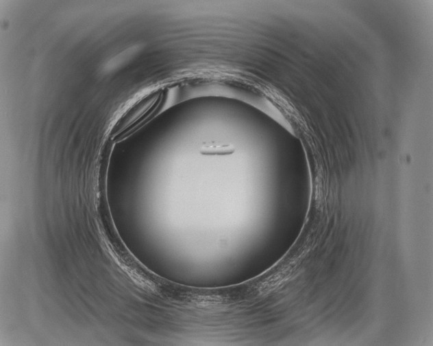 X0000085000438200703191054