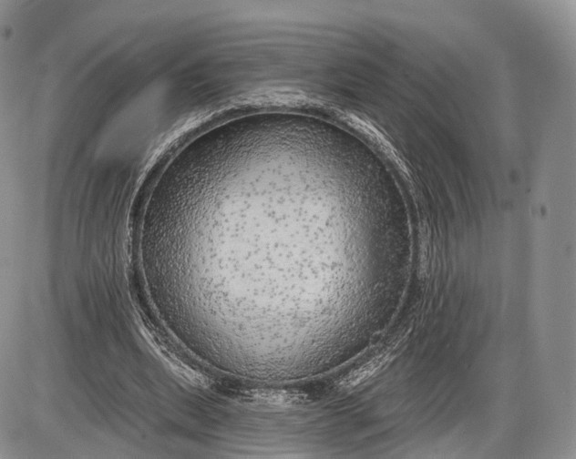 X0000085000439200703191054