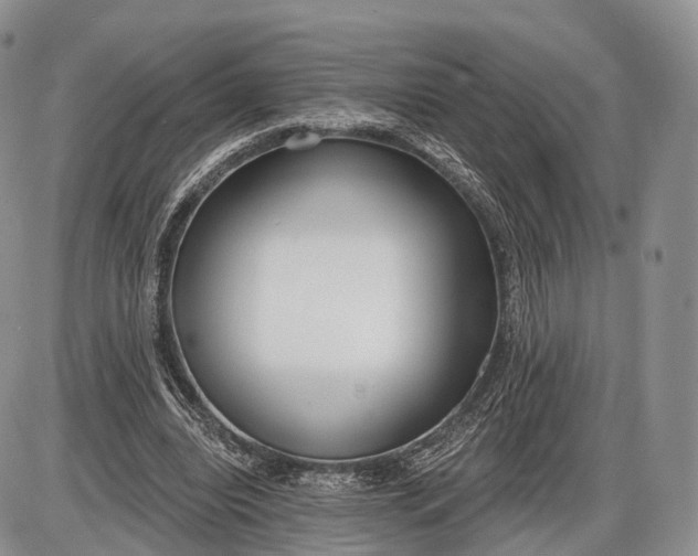 X0000085000440200703191054