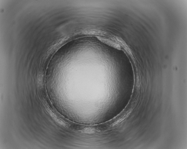 X0000085000441200703191054