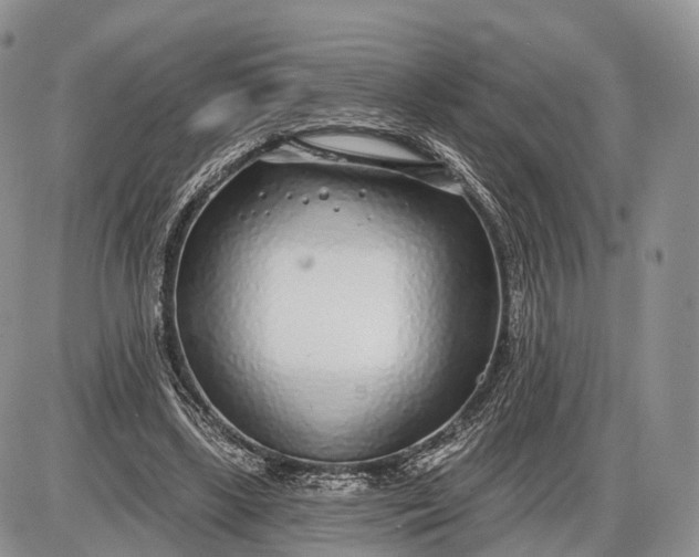 X0000085000443200703191054