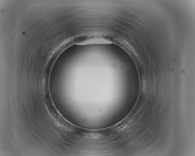 X0000085000444200703191054