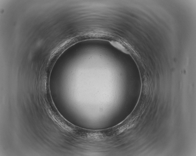 X0000085000446200703191054