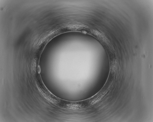 X0000085000448200703191054