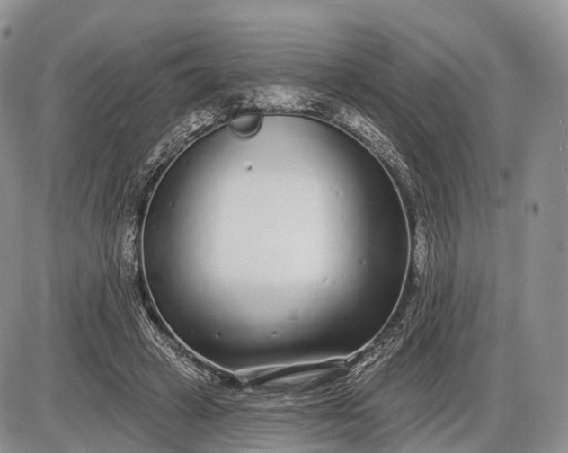 X0000085000449200703191054