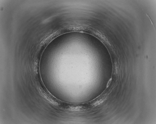 X0000085000450200703191054