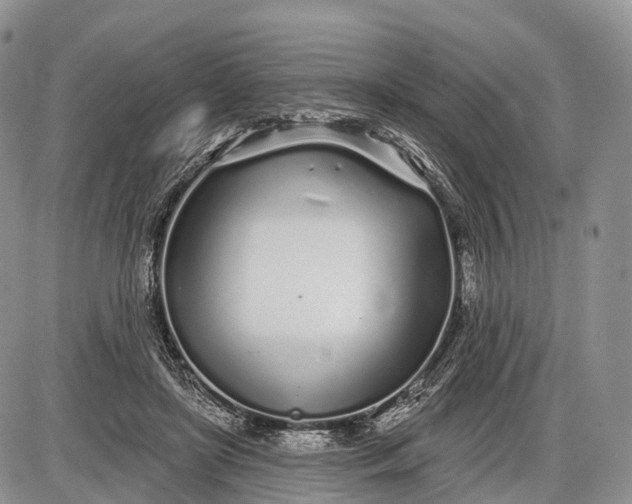 X0000085000451200703191054