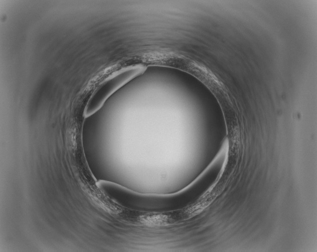 X0000085000452200703191054