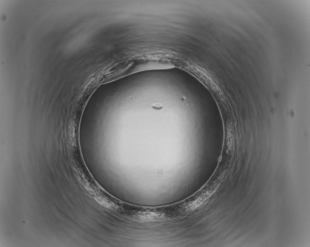 X0000085000453200703191054