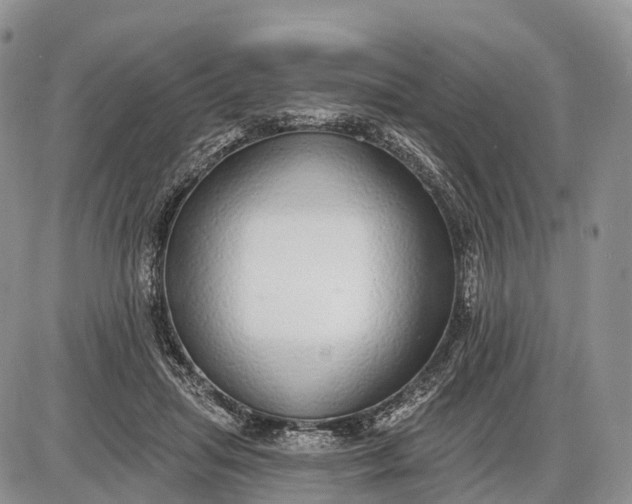 X0000085000455200703191054