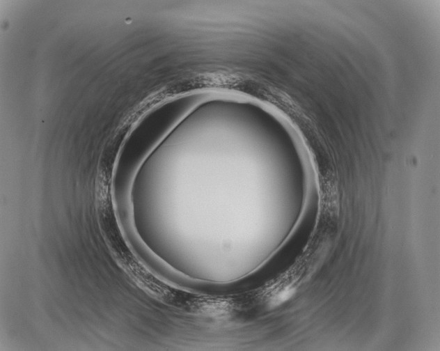 X0000085000456200703191054