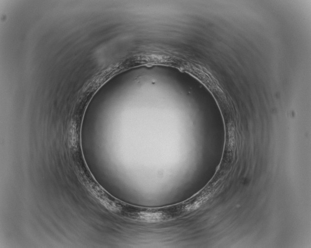 X0000085000457200703191054