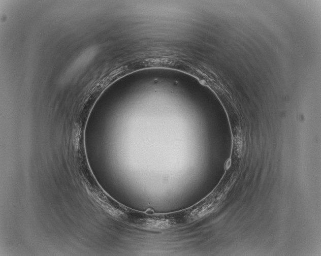 X0000085000458200703191054