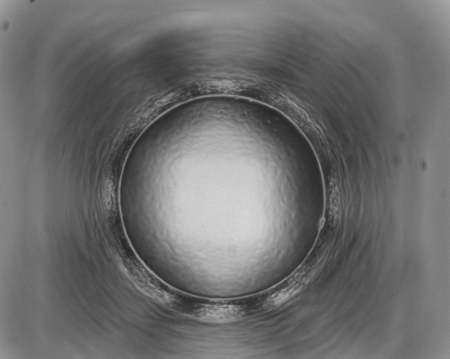 X0000085000459200703191054