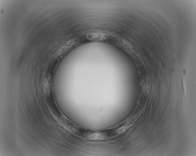 X0000085000460200703191054