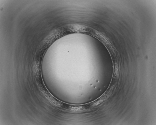 X0000085000461200703191054