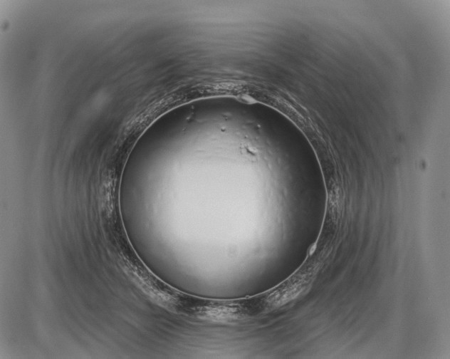 X0000085000462200703191054