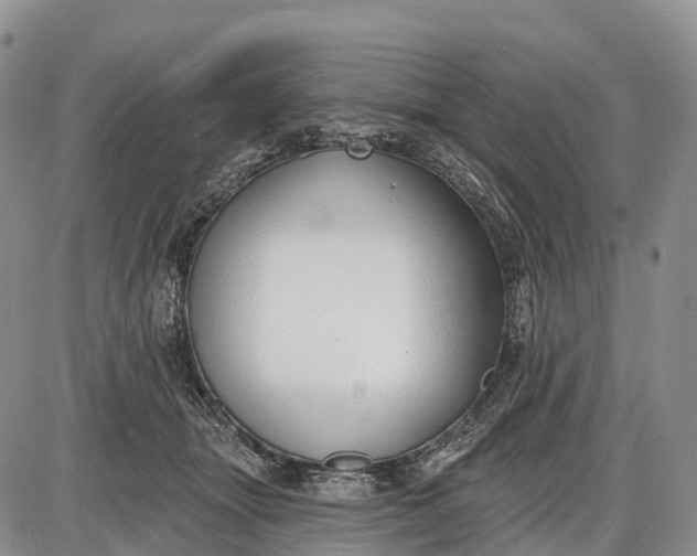 X0000085000463200703191054