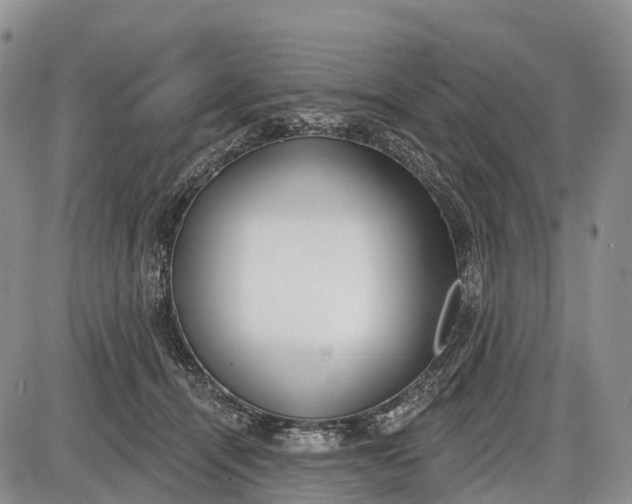 X0000085000464200703191054