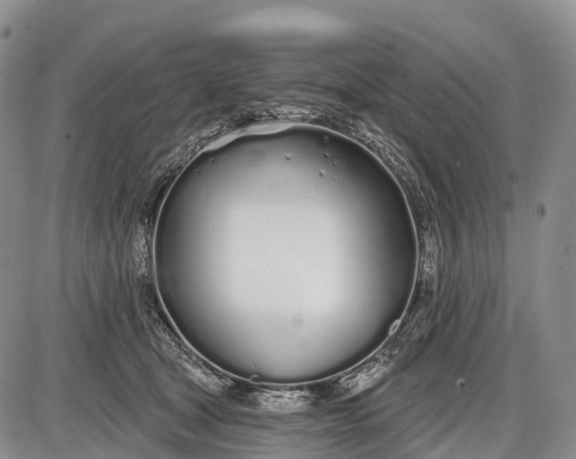 X0000085000465200703191054