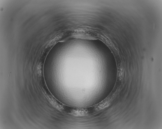 X0000085000466200703191054