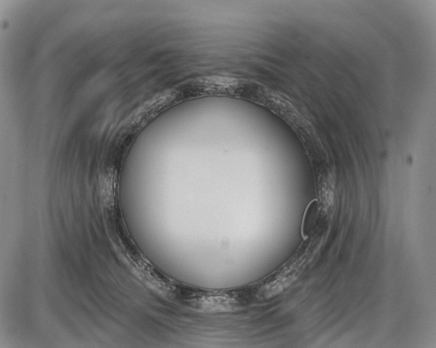 X0000085000468200703191054