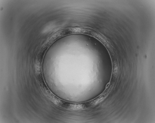 X0000085000469200703191054