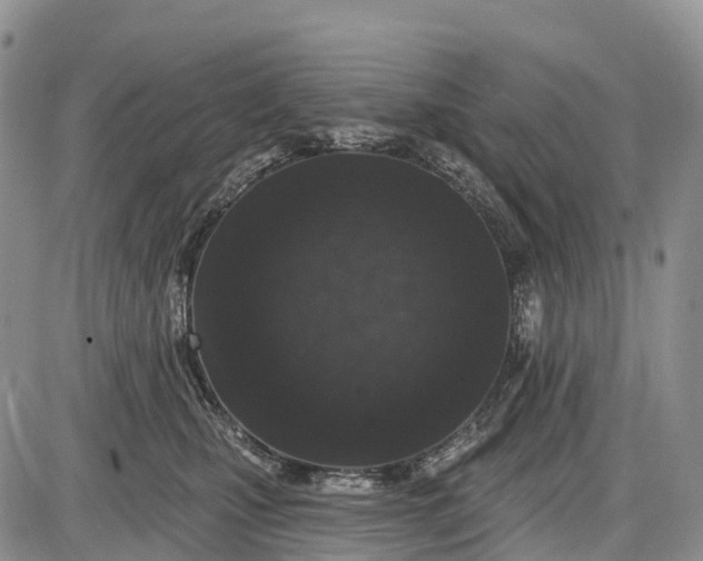 X0000085000471200703191054